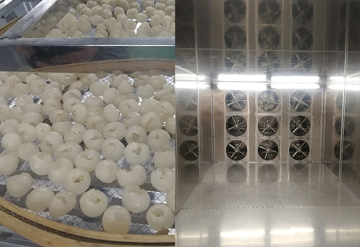 安徽燕之坊電子商務有限公司龍眼烘干設備選型