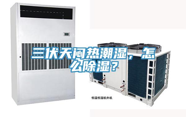 三伏天悶熱潮濕，怎么除濕？