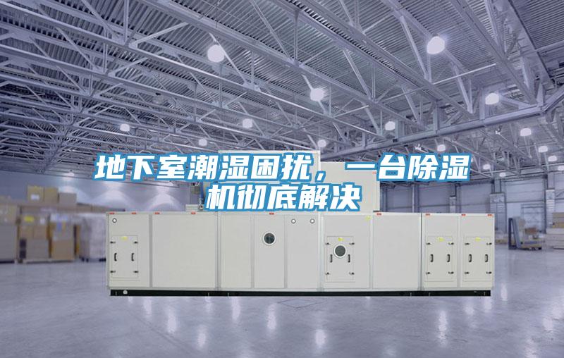 地下室潮濕困擾，一臺(tái)除濕機(jī)徹底解決