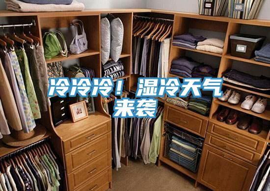 冷冷冷!濕冷天氣來襲