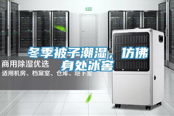 冬季被子潮濕，仿佛身處冰窖