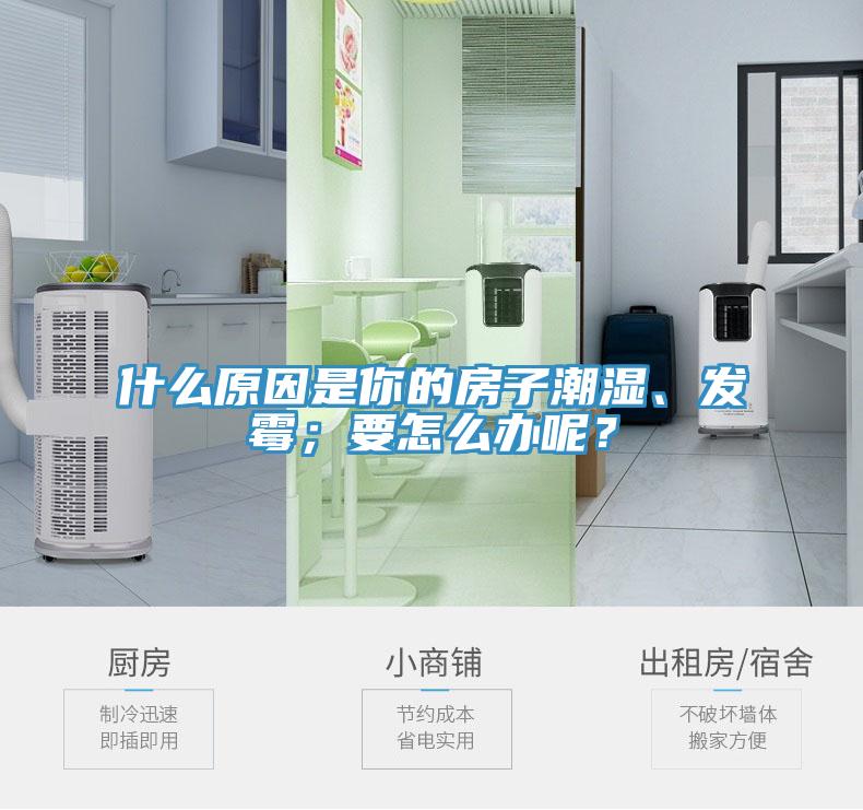 什么原因是你的房子潮濕、發(fā)霉；要怎么辦呢？