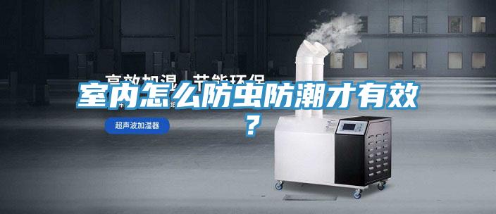 室內怎么防蟲防潮才有效?