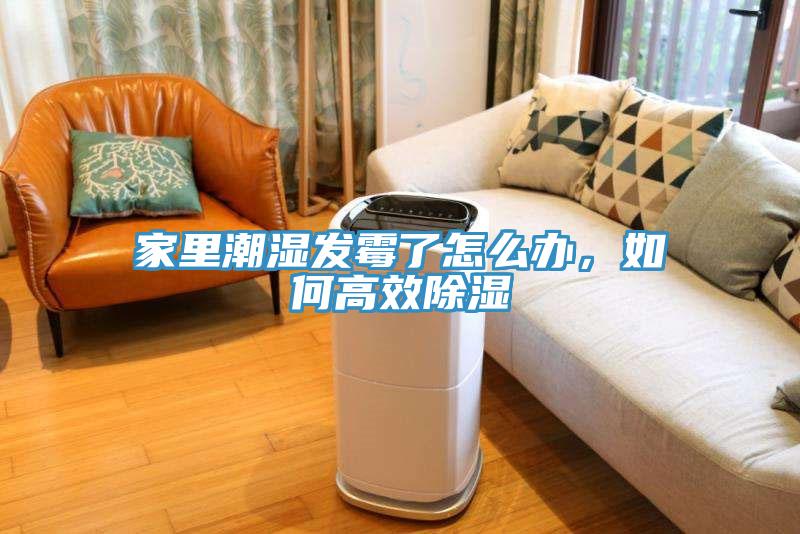 家里潮濕發(fā)霉了怎么辦，如何高效除濕
