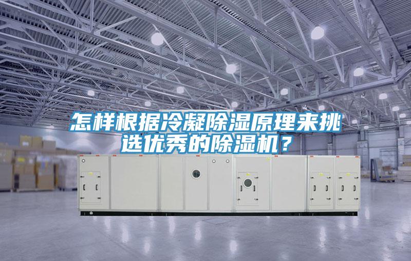 怎樣根據冷凝除濕原理來挑選優秀的除濕機？