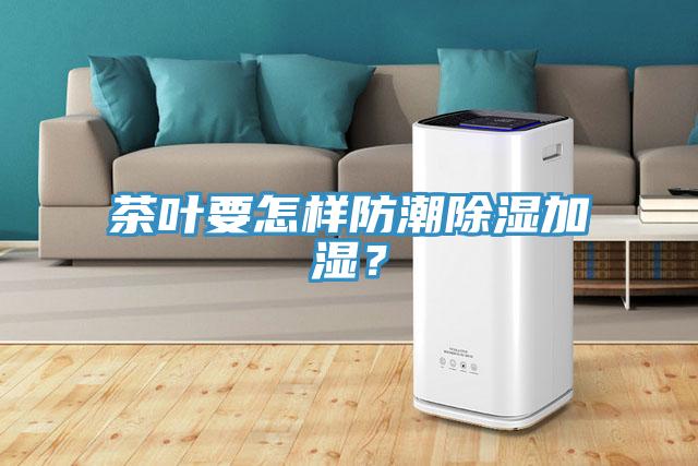 茶葉要怎樣防潮除濕加濕?