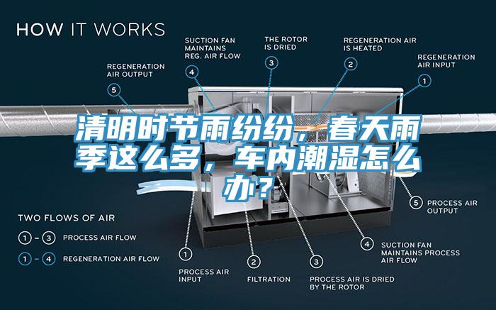 清明時節雨紛紛,春天雨季這么多,車內潮濕怎么辦?