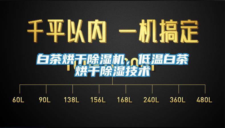 白茶烘干除濕機,低溫白茶烘干除濕技術(shù)